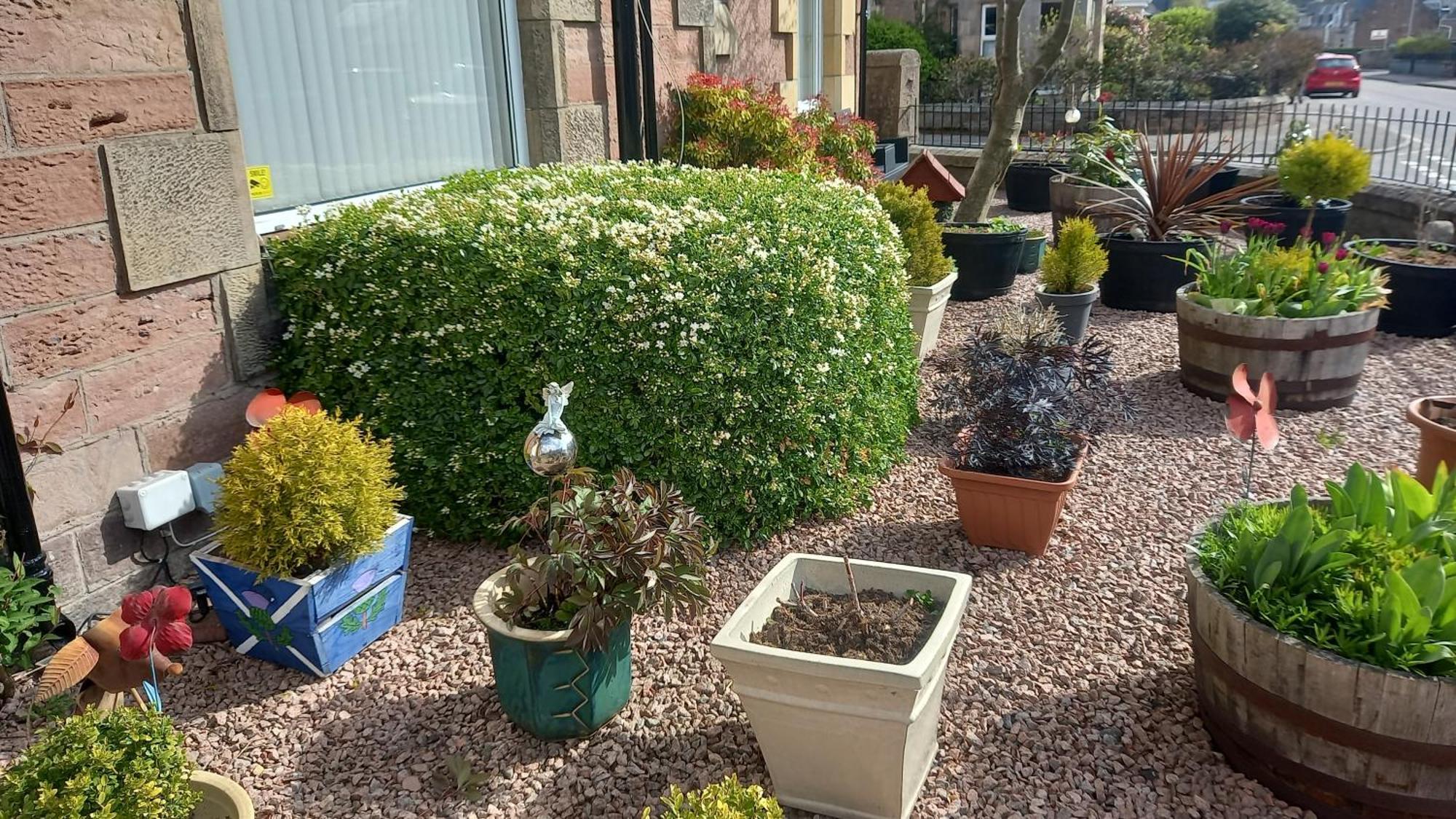 Fairfield Townhouse Guest House Inverness Eksteriør billede